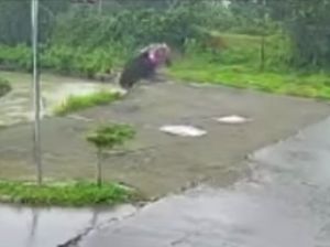 Detik-detik Mobil Nyemplung Sungai di Bogor Gegara Google Maps