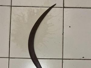 ABG di Bogor Hendak Tawuran Diamankan Polisi Usai Jatuh dari Motor