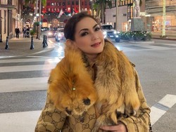 Respons Nia Daniaty Ditanya Kemungkinan Rujuk dengan Farhat Abbas