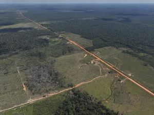 Video Joe Biden: Saya Presiden AS Pertama yang Mengunjungi Hutan Amazon