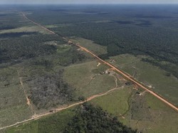Video Joe Biden: Saya Presiden AS Pertama yang Mengunjungi Hutan Amazon