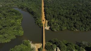 Penampakan Pembangunan Jalan Raya yang Membelah Hutan Amazon