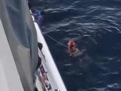 Pemudik Bulukumba Lompat ke Laut Saat Kapal Berlabuh di Pelabuhan Parepare