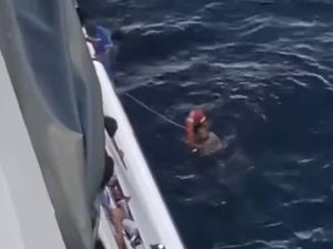 Pemudik Bulukumba Lompat ke Laut Saat Kapal Berlabuh di Pelabuhan Parepare Pemudik Bulukumba Lompat ke Laut Saat Kapal Berlabuh di Pelabuhan Parepare