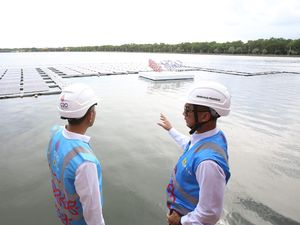 Pembangunan PLTS 500 MW Proyek Hijaunesia Dikebut, Begini Progresnya