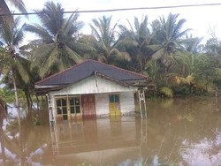 Banjir Rendam 606 Rumah di Maluku Tengah