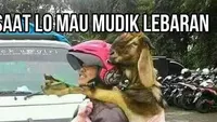 8 Meme Mudik Lebaran 2024 yang Bikin Ngakak, Jadi Penghibur di Jalan