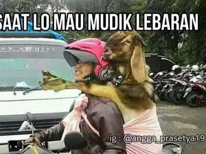 8 Meme Mudik Lebaran 2024 yang Bikin Ngakak, Jadi Penghibur di Jalan