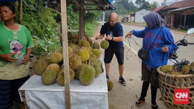 Aroma Semerbak Durian dari Pinggir-pinggir Jalan Lintas Sumatera