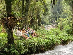 Ini Keranjang Sultan yang Bikin Will Smith Penasaran