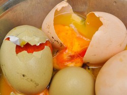 Mudah! Begini 5 Cara Ampuh Mengenali Telur Kurang Segar