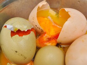 Mudah! Begini 5 Cara Ampuh Mengenali Telur Kurang Segar Mudah! Begini 5 Cara Ampuh Mengenali Telur Kurang Segar