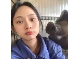 Ribet Urus Manusia, Wanita Ini Resign dari PNS Pilih Jadi Peternak Babi Ribet Urus Manusia, Wanita Ini Resign dari PNS Pilih Jadi Peternak Babi