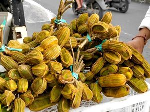 Nggak Cuma di Bedugul, Buah Salju Mulai Banyak Dijual di Kintamani Nggak Cuma di Bedugul, Buah Salju Mulai Banyak Dijual di Kintamani