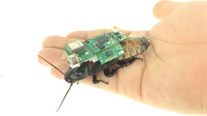 Singapura Bikin Kecoak Cyborg, Punya Misi Super Penting