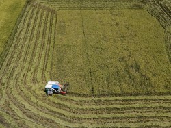Jabar Targetkan Produksi 11 Juta Ton Gabah Kering Giling