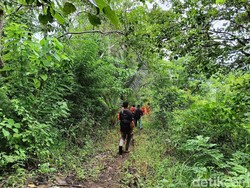 Terjebak Hujan Saat ke Kebun, Nenek 60 Tahun di Sikka Hilang
