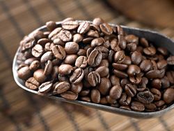 5 Kesalahan Menyimpan Biji Kopi Menurut Pakar, Jangan Dilakukan!