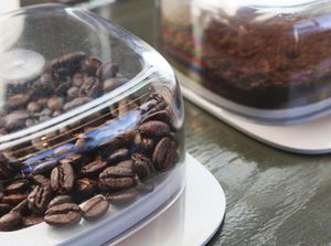 Kopi Tanpa Biji Kopi Diprediksi Bakal Jadi Tren di Masa Depan