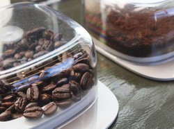 Kopi Tanpa Biji Kopi Diprediksi Bakal Jadi Tren di Masa Depan