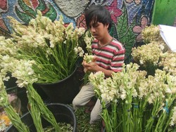 Cek Harga Kembang, Sejarah, Lokasi, dan Cara Menuju Pasar Bunga Rawa Belong