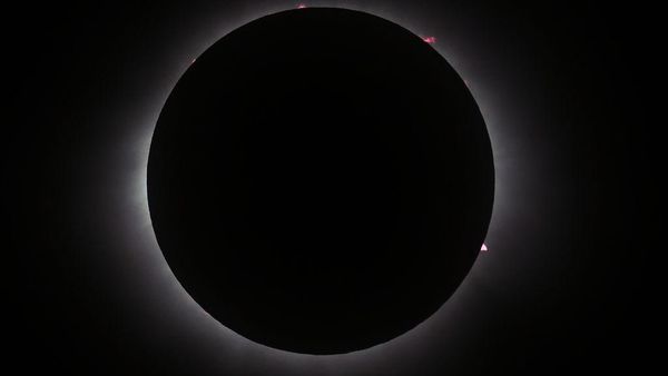Gerhana Matahari Total 8 April 2024, Ini Potret Fenomena Uniknya!