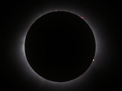 Gerhana Matahari Total 8 April 2024, Ini Potret Fenomena Uniknya!