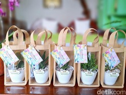Tangan Kreatif Andina Sulap Kaktus hingga Anggrek Jadi Parsel Lebaran Cantik