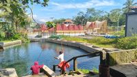 Segarnya Kali Bangkong Magelang, Dialiri Sumber Mata Air Begitu Jernih