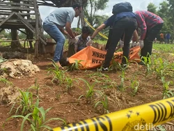 Terkuak Saksi yang Tewas di Sawah Ternyata Kawanan Perampok Pengusaha Gresik