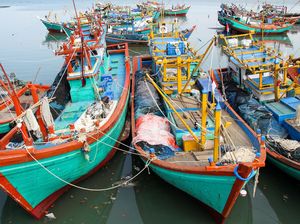 Ternyata Ini Alasan KKP Tak Pernah Lagi Tenggelamkan Kapal Pencuri Ikan Ternyata Ini Alasan KKP Tak Pernah Lagi Tenggelamkan Kapal Pencuri Ikan