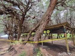 Terungkapnya Kasus Wanita Dibunuh-Dibuang Mantan Pacar di Pantai Bantul