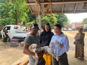 Tanggulangi Rabies, Denpasar Targetkan Vaksinasi 73.975 HPR Selama 2024