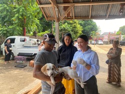 Tanggulangi Rabies, Denpasar Targetkan Vaksinasi 73.975 HPR Selama 2024