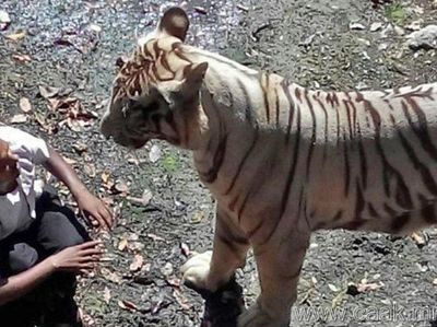 Foto-foto Terakhir Sebelum Kejadian Mengerikan