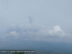 Gunung Semeru Erupsi Keluarkan Abu Setinggi 1.000 Meter Gunung Semeru Erupsi Keluarkan Abu Setinggi 1.000 Meter