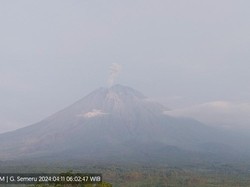 Gunung Semeru Erupsi Setinggi 700 Meter Pada H+1 Lebaran