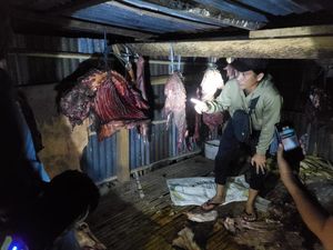 Pencuri Kuda di Jeneponto Ditembak Saat Coba Kabur, 2 Pelaku Buron Pencuri Kuda di Jeneponto Ditembak Saat Coba Kabur, 2 Pelaku Buron
