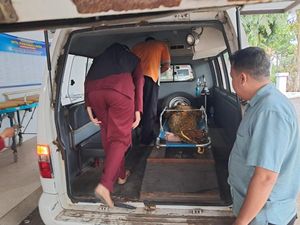 Bapak-Anak Asal Gresik Tergulung Ombak di Pantai Paseban Jember, 1 Tewas Bapak-Anak Asal Gresik Tergulung Ombak di Pantai Paseban Jember, 1 Tewas