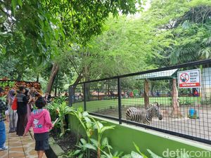 KBS Prediksi Puncak Pengunjung Libur Lebaran 14 April