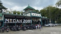 Walkot Bobby: Investasi Medan Zoo Dimulai Bulan Depan!
