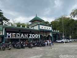 Walkot Bobby: Investasi Medan Zoo Dimulai Bulan Depan!