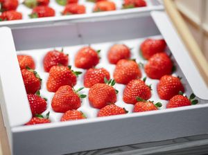 Tebak Berapa Harga Stroberi Ini?