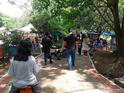 Menikmati Sejuk dan Rindangnya Hutan Kota Sumber Cirebon