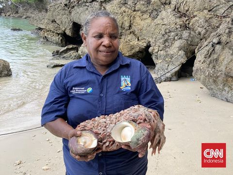 Tradisi Buka Sasi di Perairan Misool, Distrik Misool Barat, Kabupaten Raja Ampat, Papua Barat Daya, Senin (25/3/2024). (CNN Indonesia/Prima Gumilang)