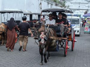Terkuak Fakta Delman Mistik Jalan Sendiri