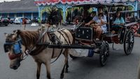 Wisata Naik Delman Keliling Kawasan Keraton Solo