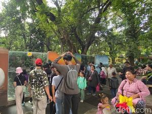 KBS Jadi Wisata Favorit Warga Surabaya dan Sekitarnya, Ada Merak Putih