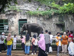 Pengunjung Ragunan Tembus 76.747 di H+4 Lebaran Siang