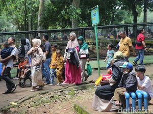 Hari Ini di Ragunan Ada 7 Anak Terpisah dari Orang Tua